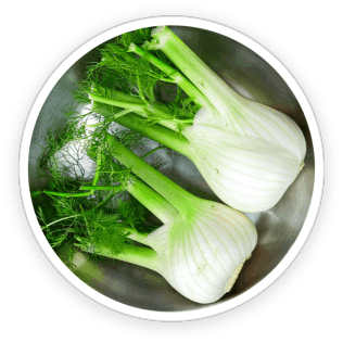 PrimeBiome - Ingredients